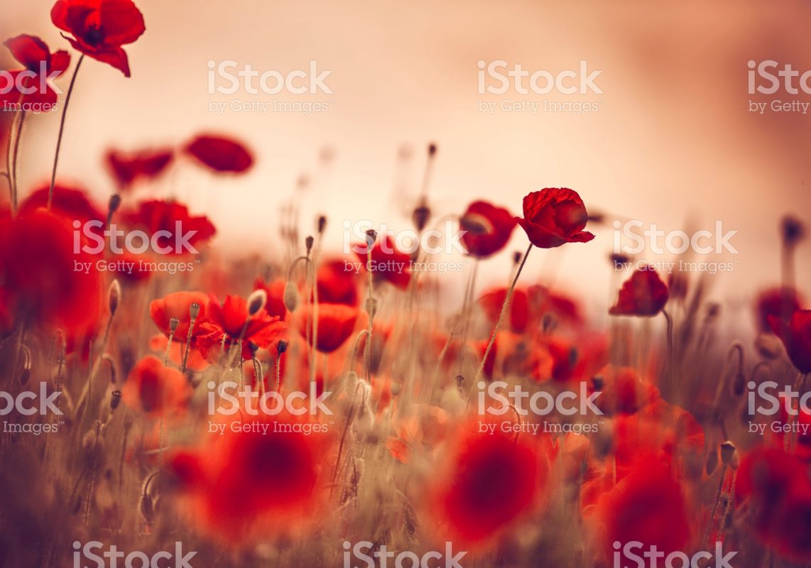 Dowsing For Vitality