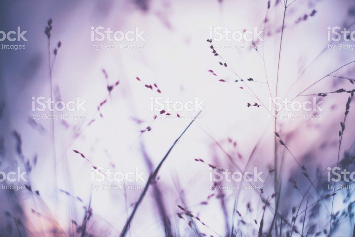 Dowsing For Vitality