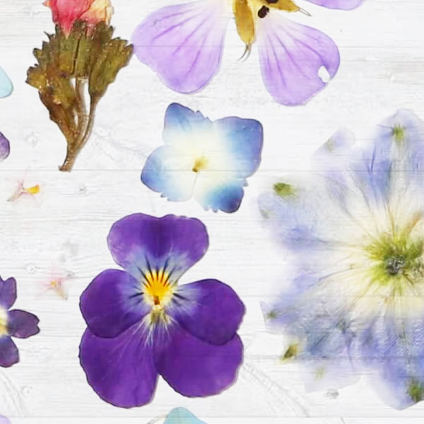 Dowsing For Vitality