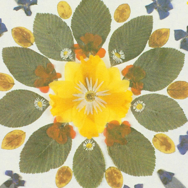 Dowsing For Vitality