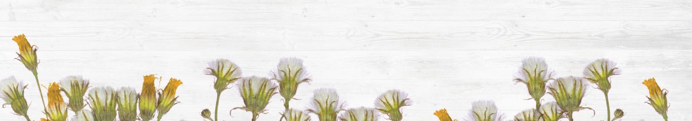 Dowsing For Vitality