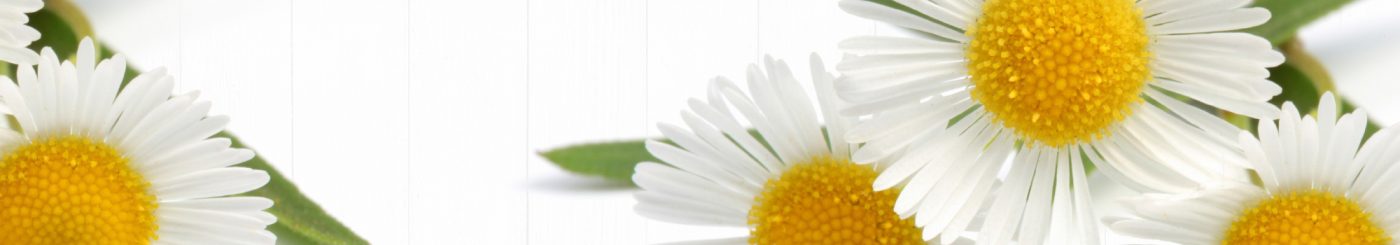 Dowsing For Vitality