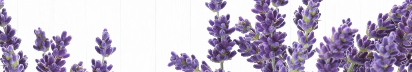 Dowsing For Vitality