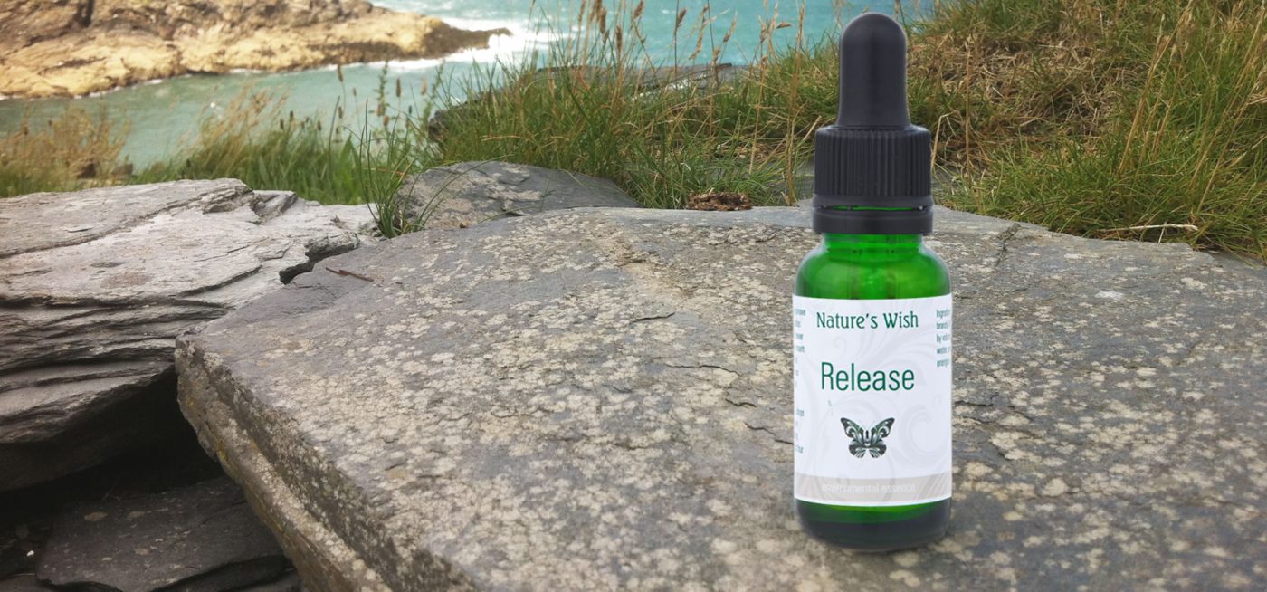 Dowsing For Vitality