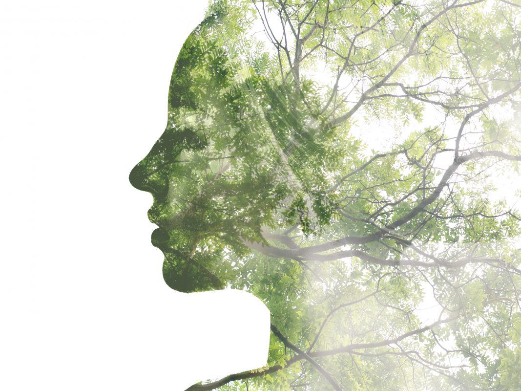 Dowsing For Vitality