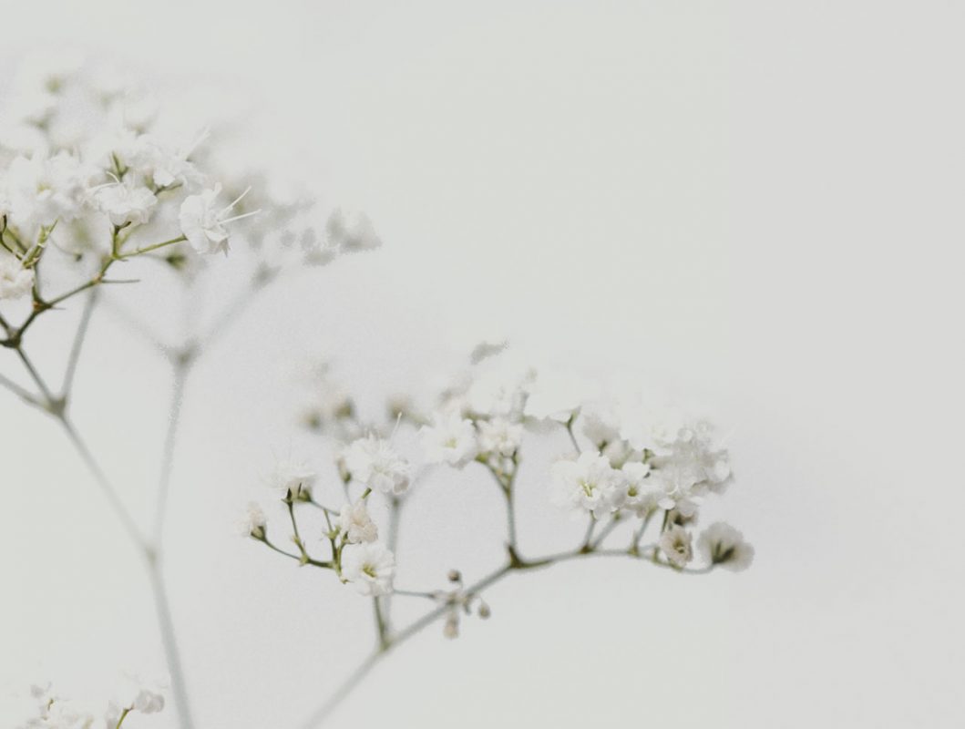 Dowsing For Vitality