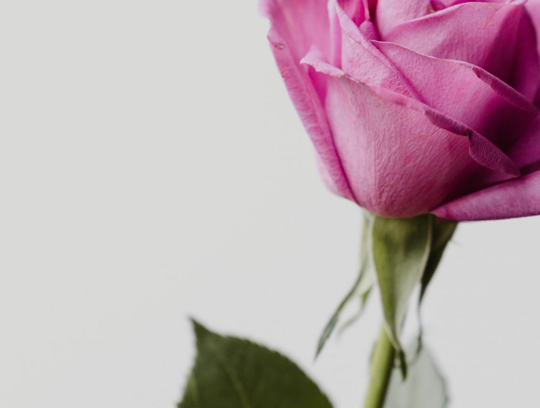 Dowsing For Vitality