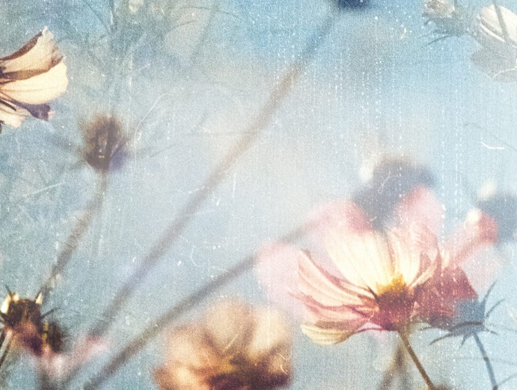 Dowsing For Vitality