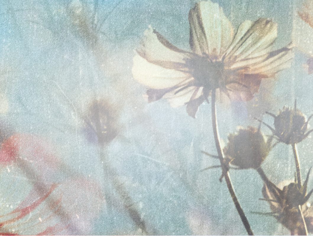 Dowsing For Vitality