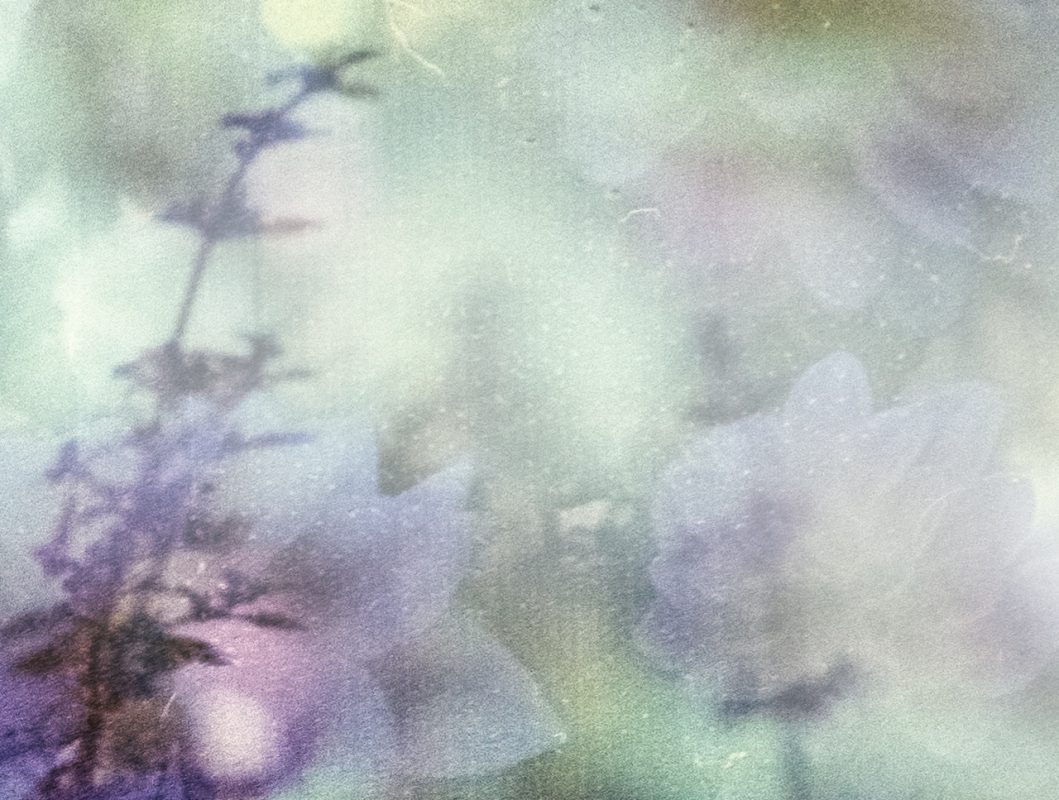 Dowsing For Vitality