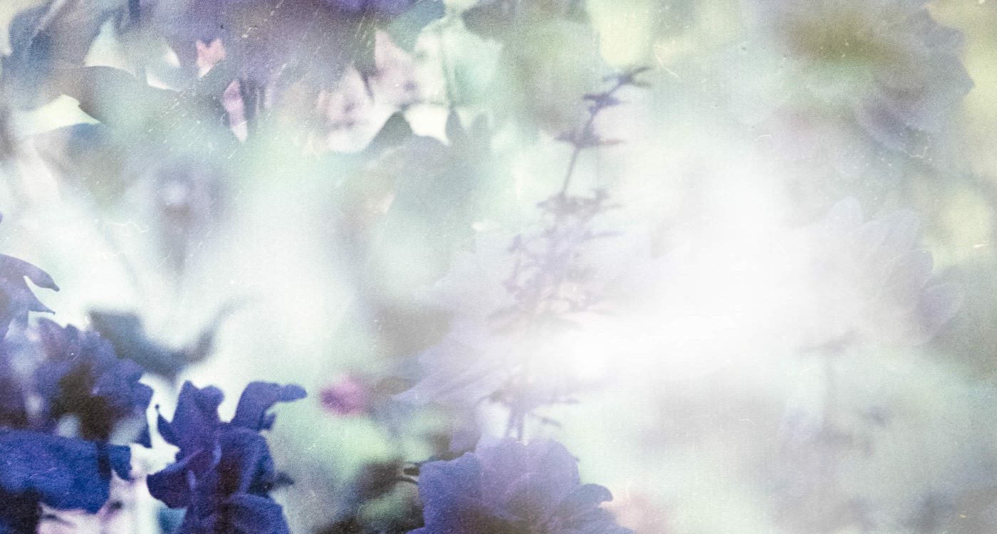 Dowsing For Vitality