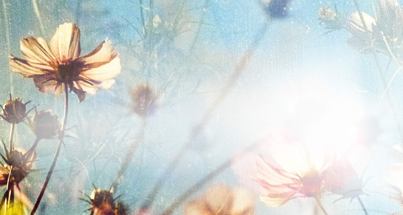 Dowsing For Vitality