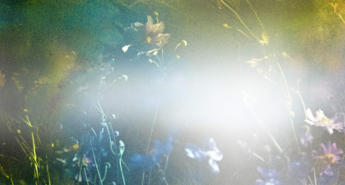 Dowsing For Vitality