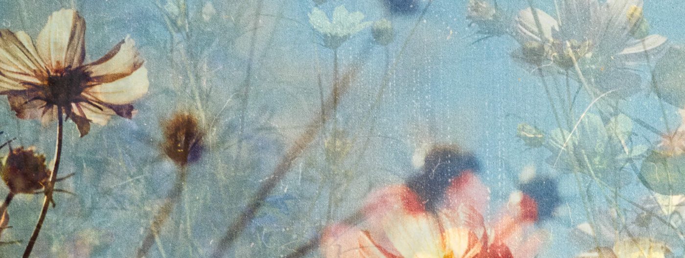 Dowsing For Vitality