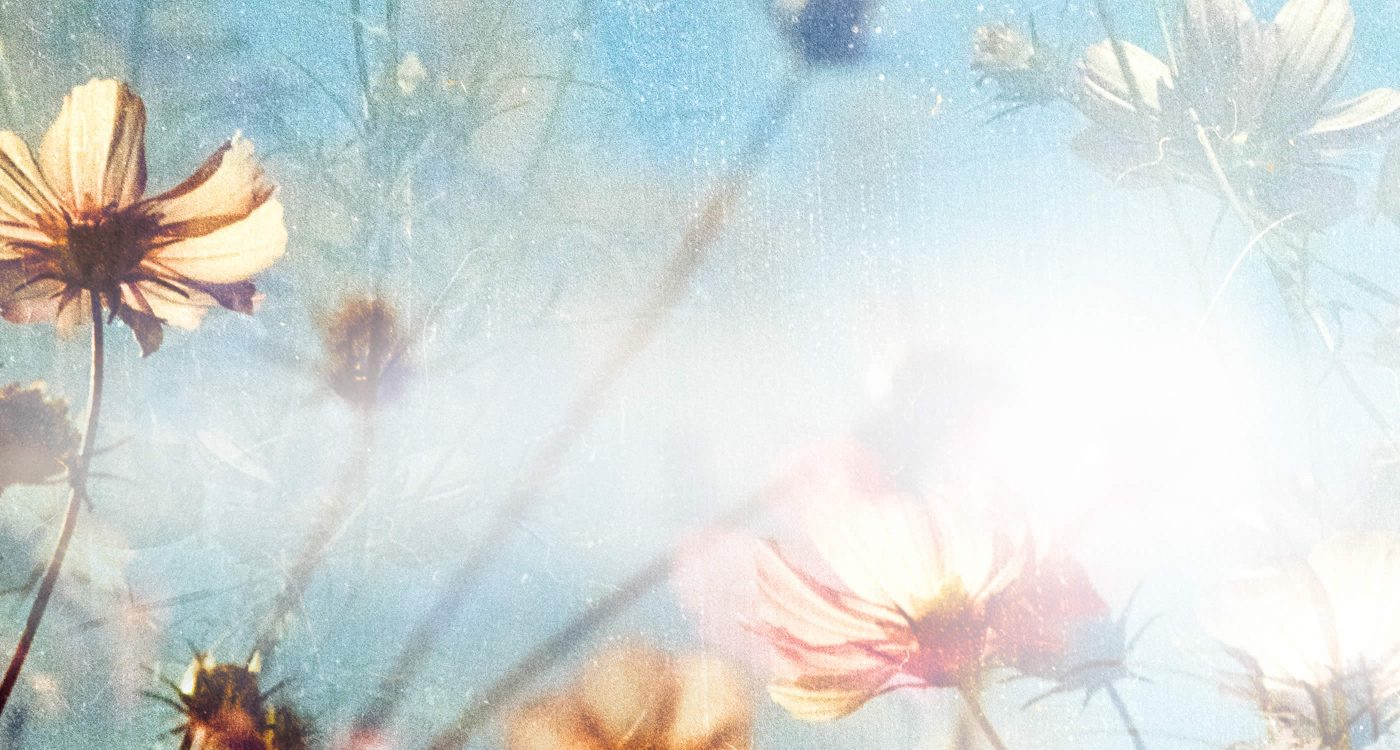 Dowsing For Vitality