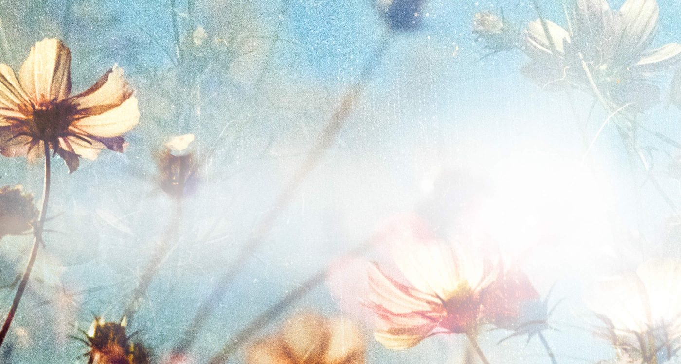 Dowsing For Vitality