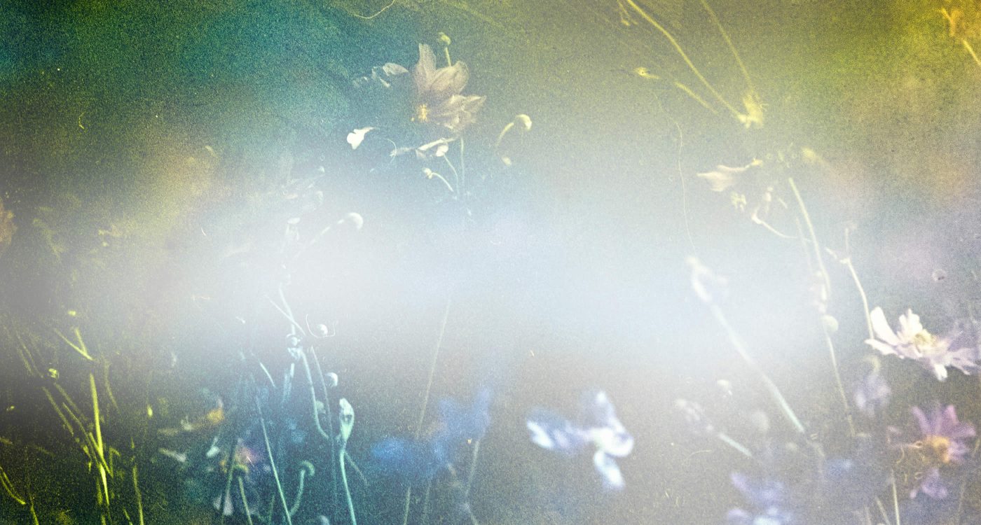 Dowsing For Vitality