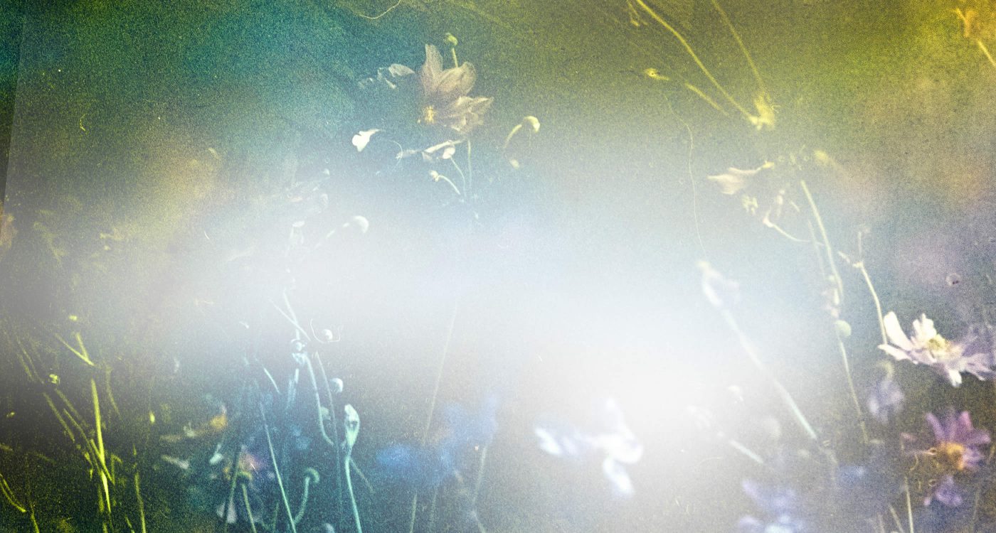 Dowsing For Vitality