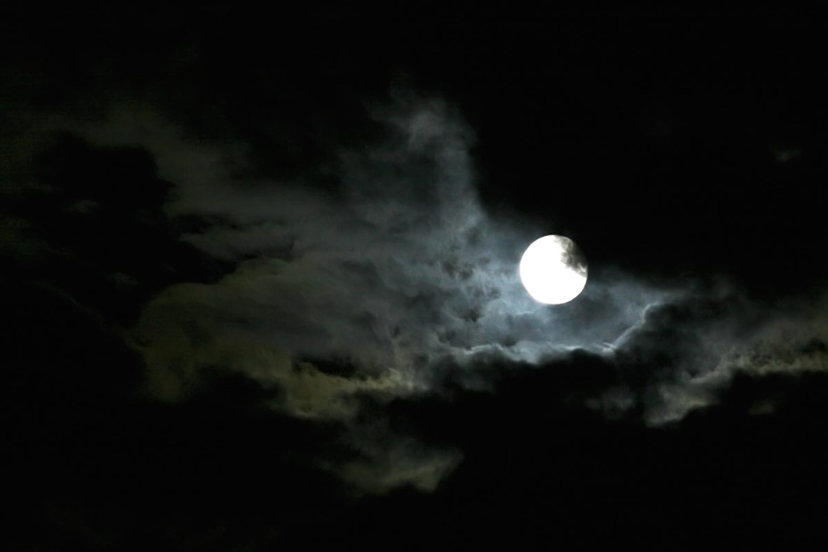 Dowsing For Vitality