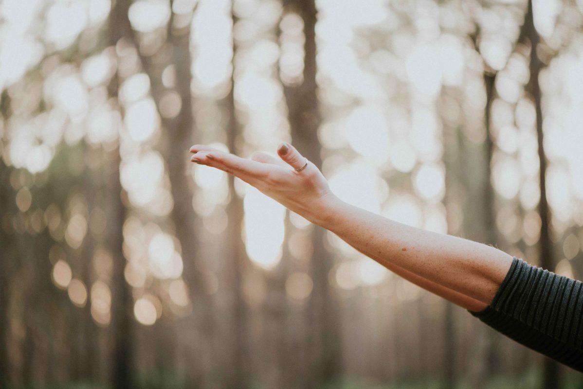 Dowsing For Vitality