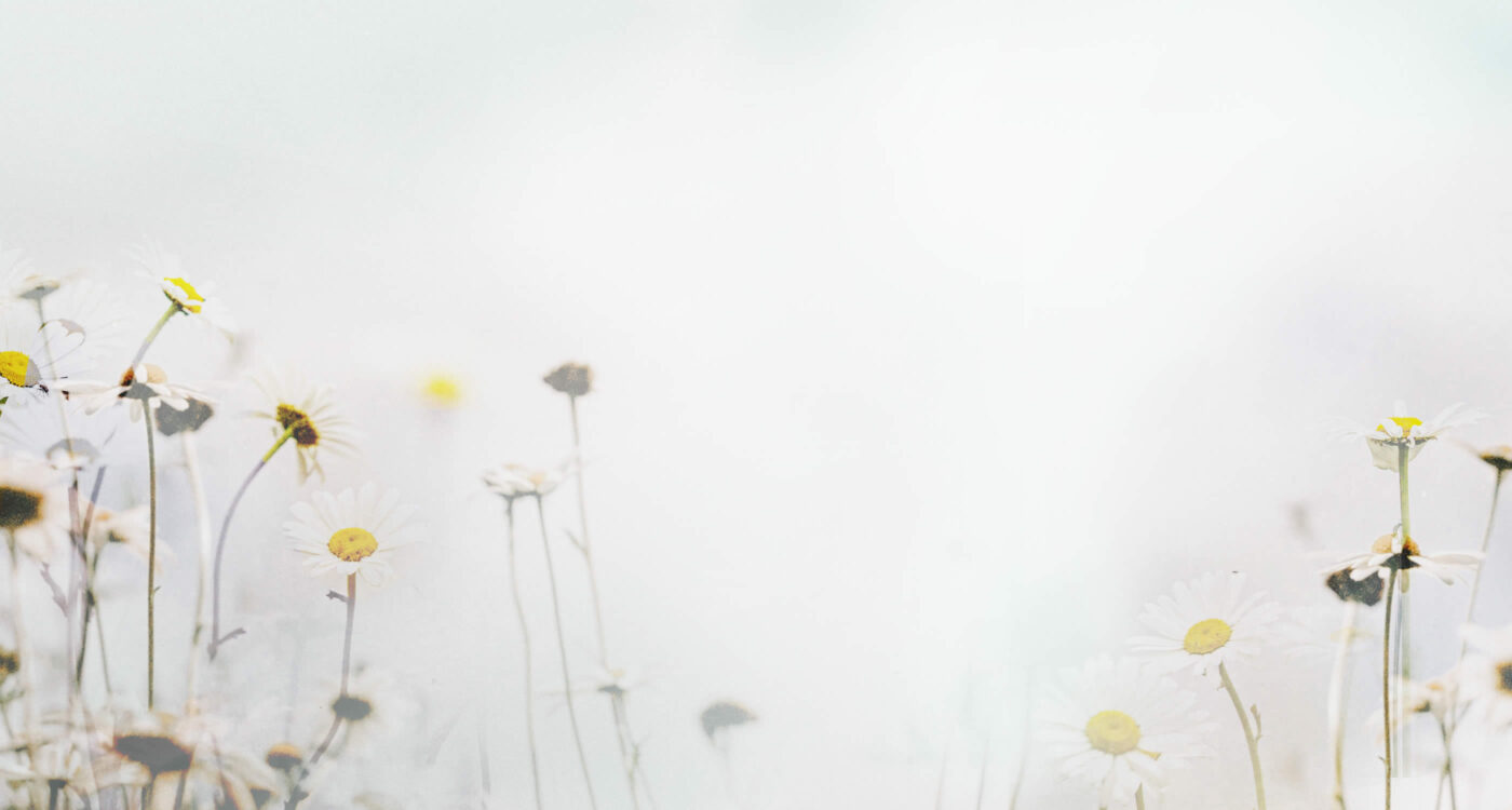 Dowsing For Vitality