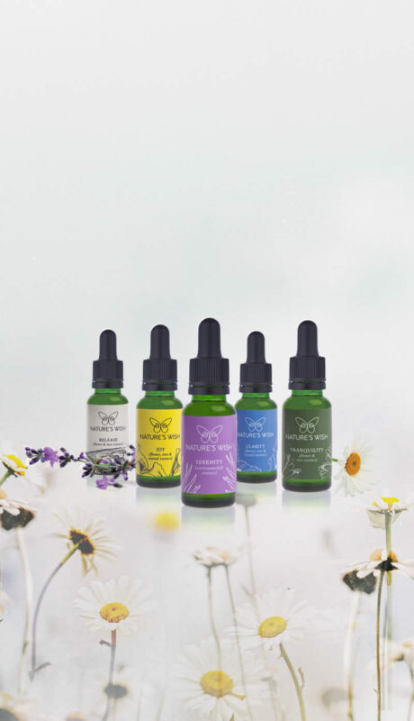 Dowsing For Vitality