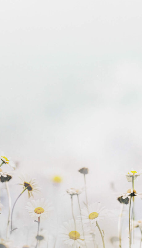 Dowsing For Vitality