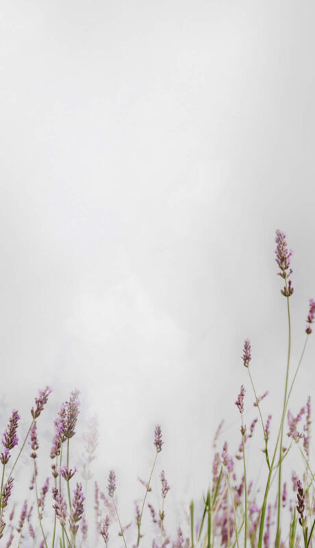 Dowsing For Vitality