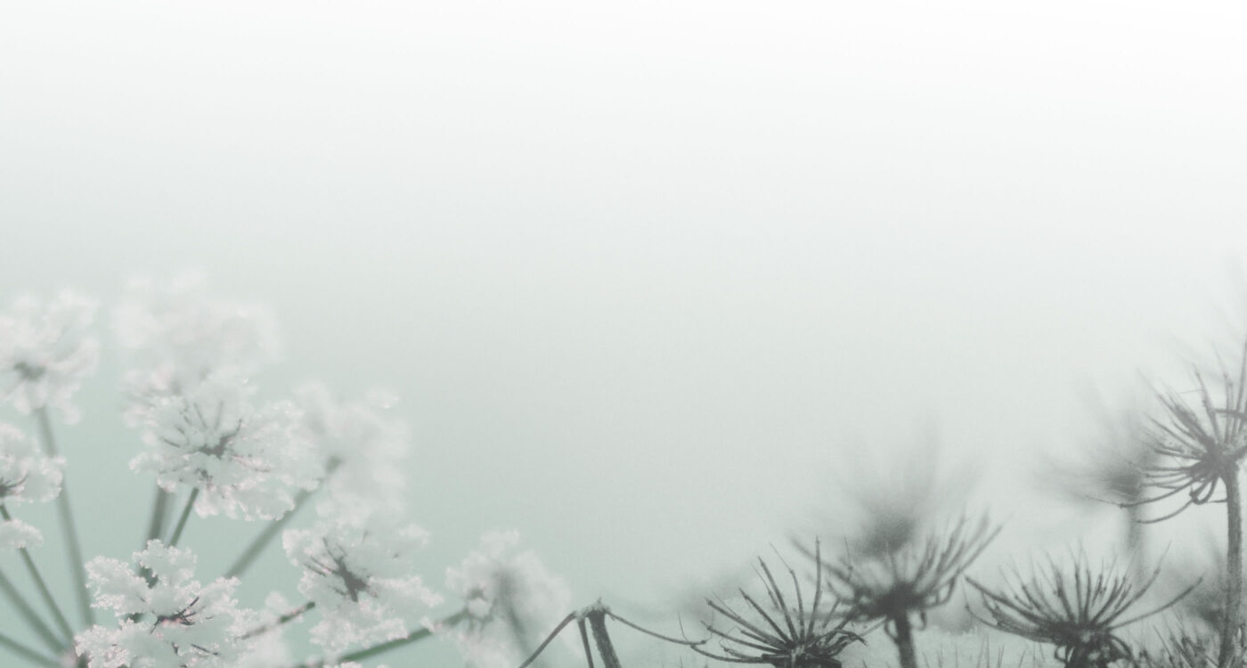 Dowsing For Vitality