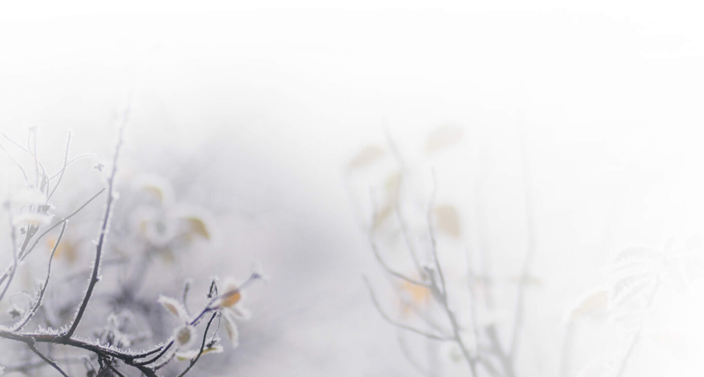 Dowsing For Vitality