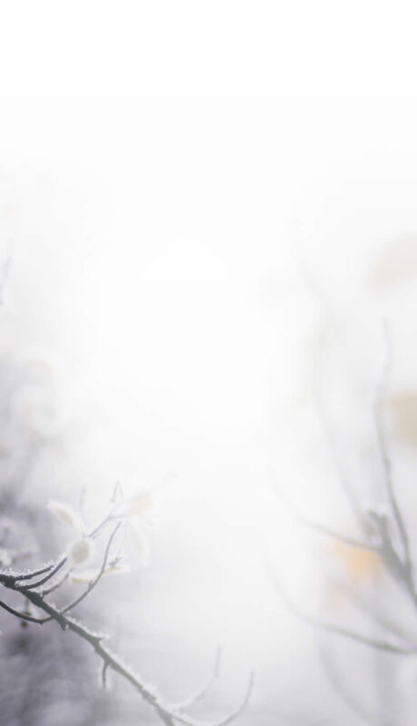 Dowsing For Vitality