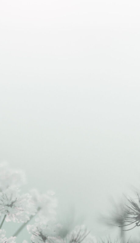 Dowsing For Vitality