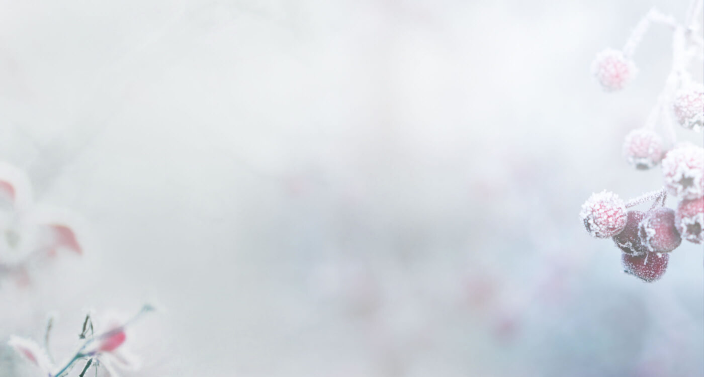 Dowsing For Vitality