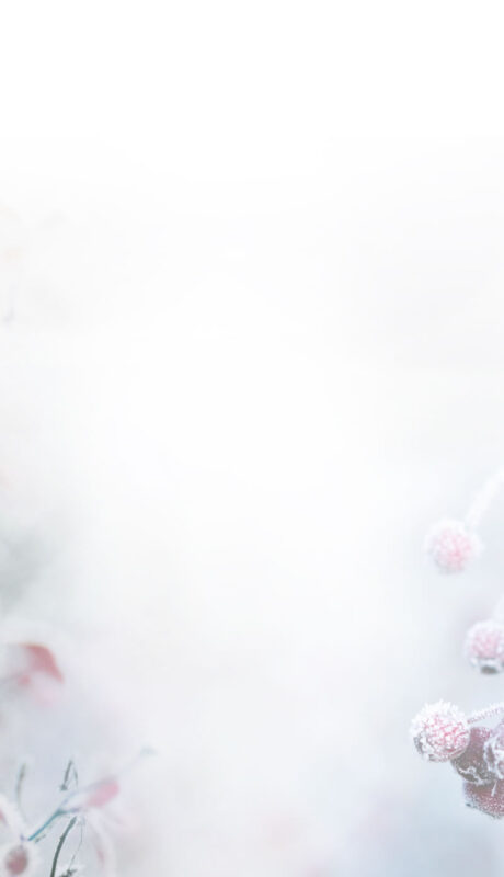 Dowsing For Vitality