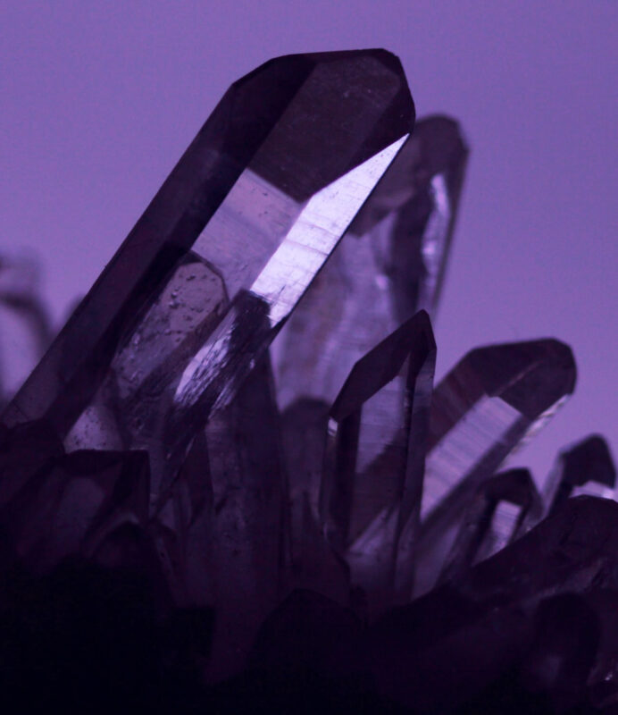 Dowsing For Vitality