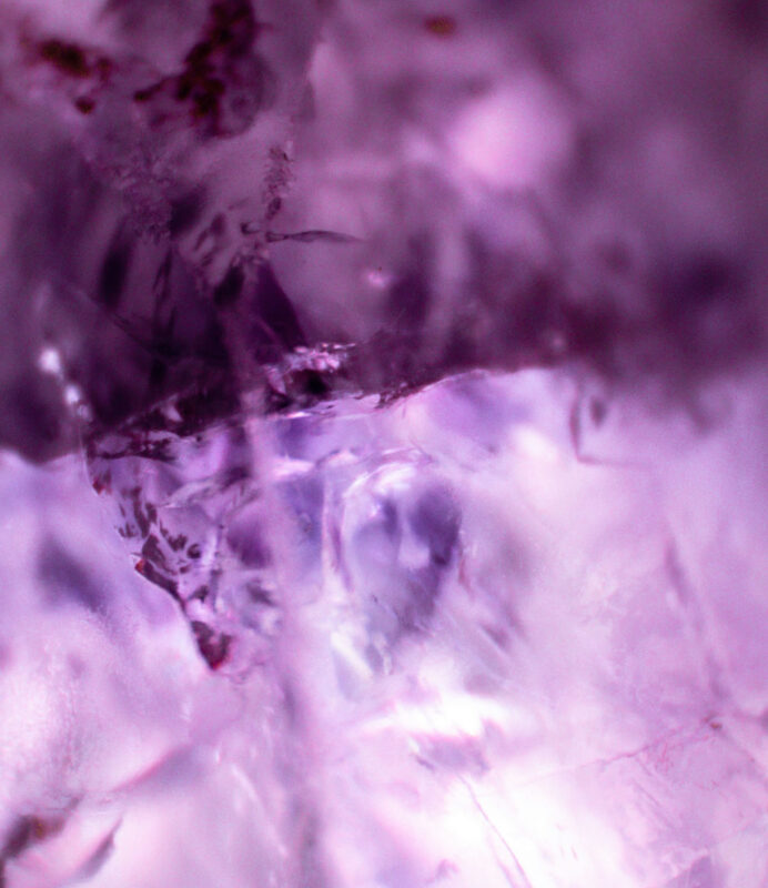 Dowsing For Vitality