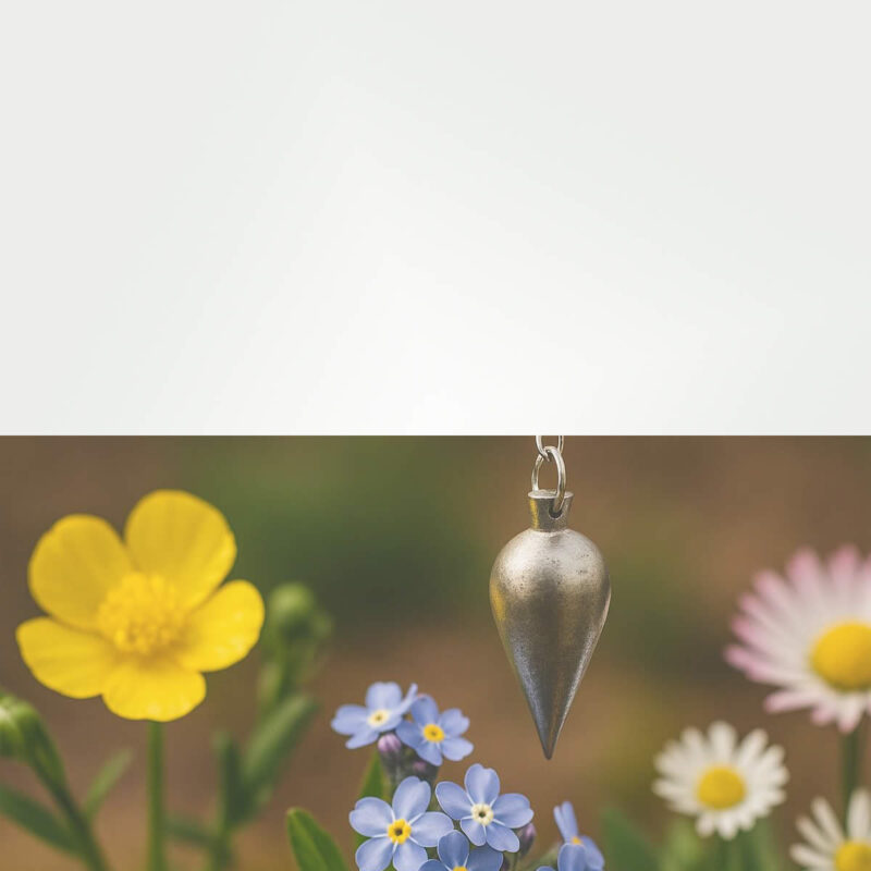 Dowsing For Vitality