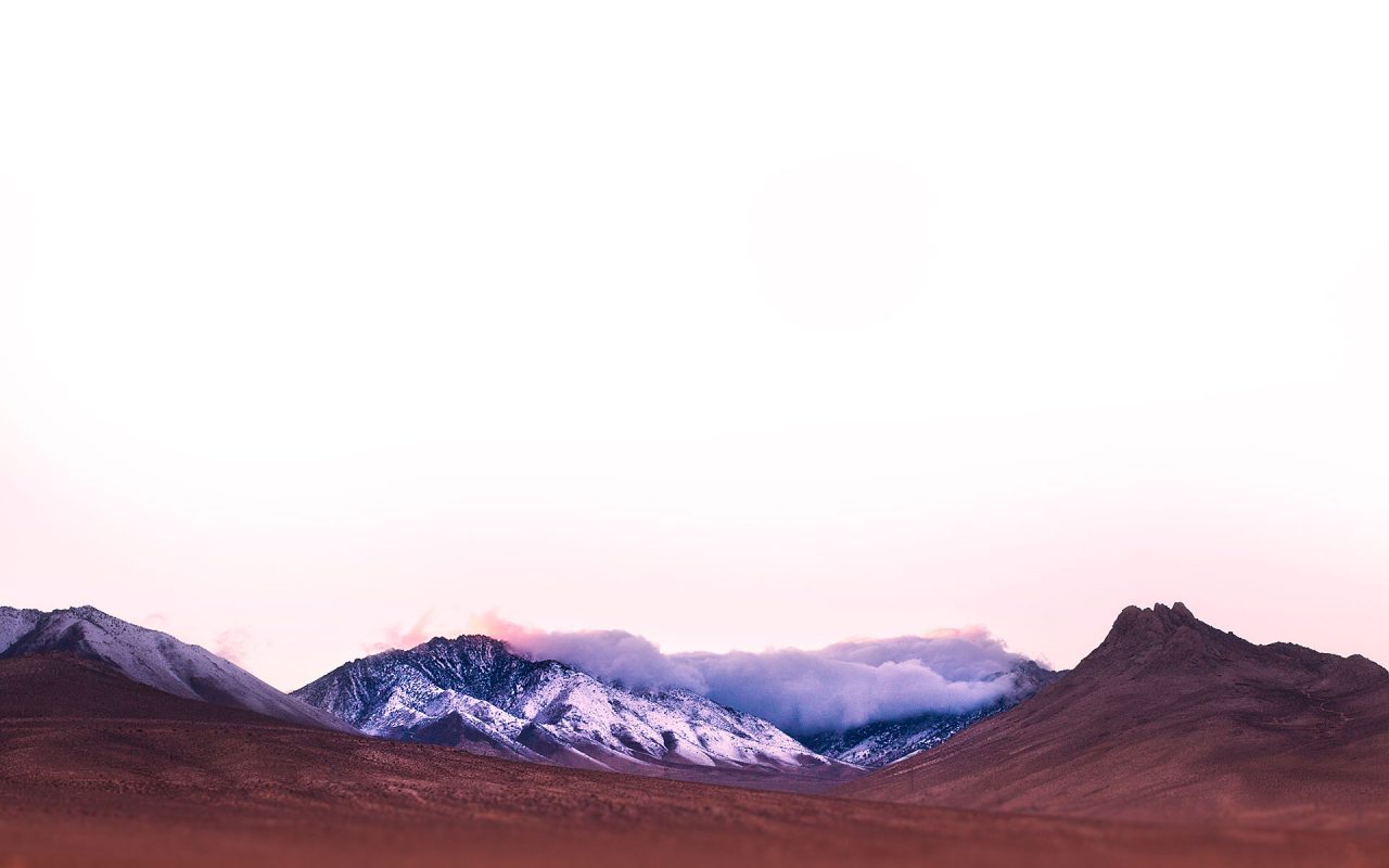 Dowsing For Vitality